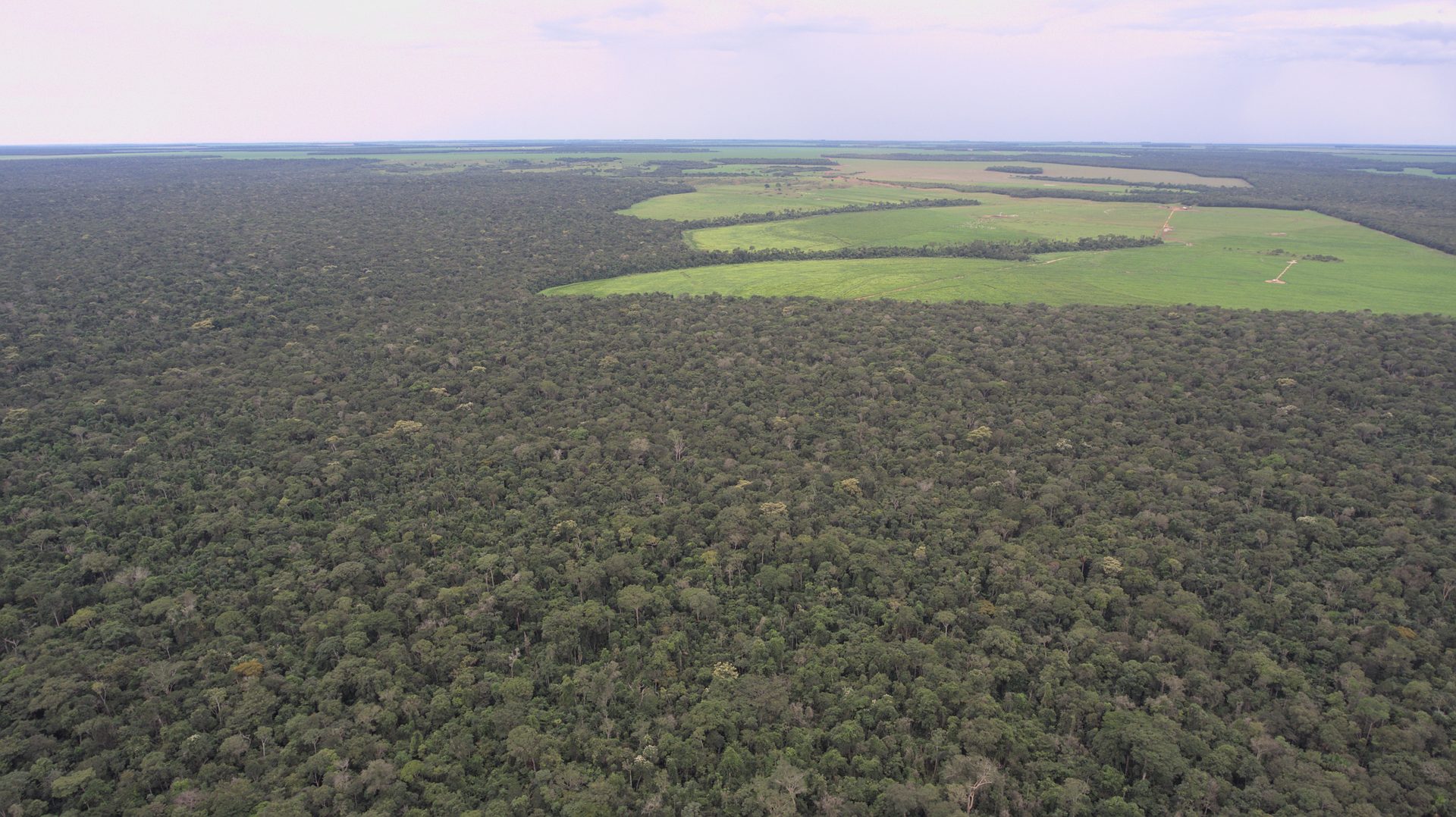 Área de manejo florestal do Grupo 2D Madeiras do Brasil