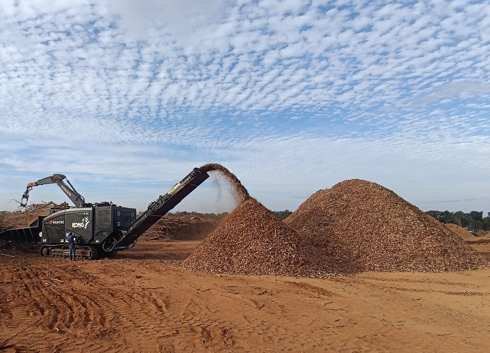 Cavergy — Biomassa sustentável para energia limpa